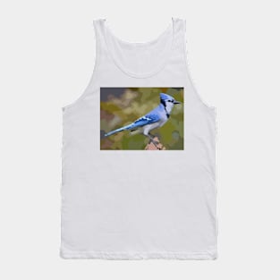 Blue Jay Digital Painting Tank Top